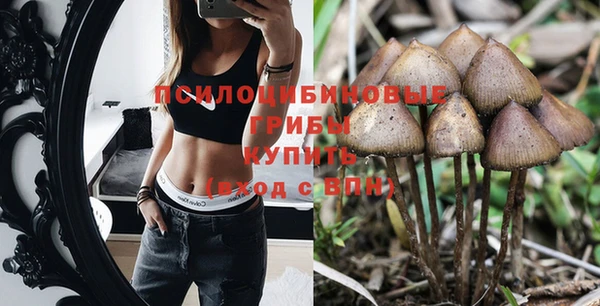Альфа ПВП Белокуриха
