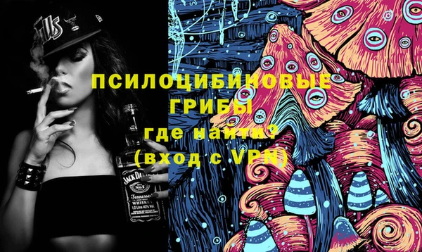 Альфа ПВП Белокуриха