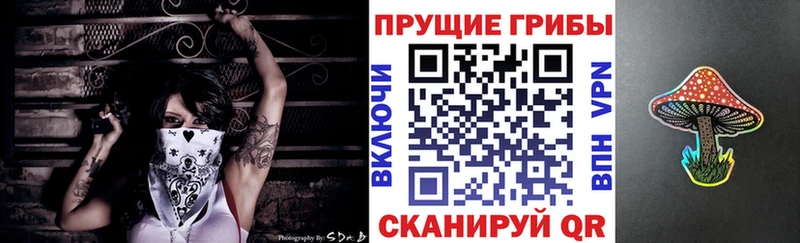 Галлюциногенные грибы GOLDEN TEACHER  купить наркотики цена  Краснообск 